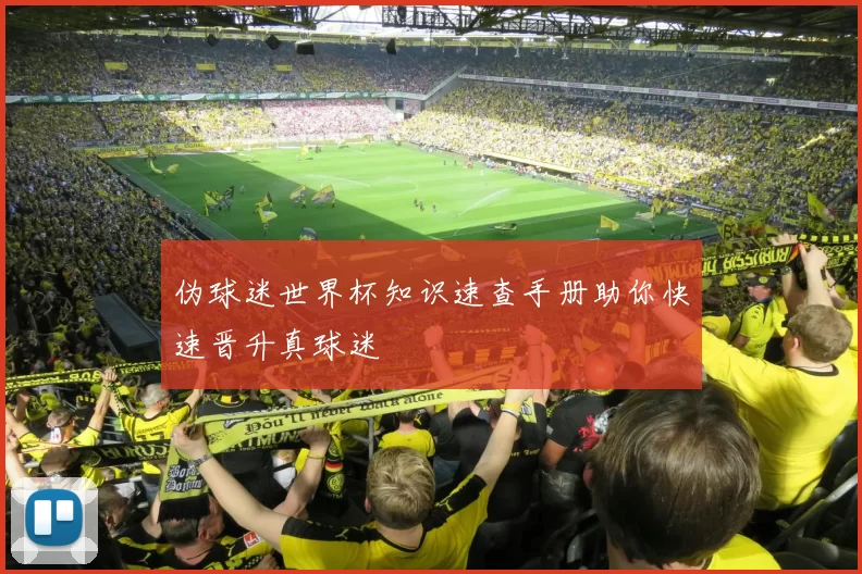 伪球迷世界杯知识速查手册助你快速晋升真球迷