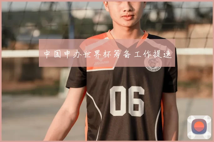 中国申办世界杯筹备工作提速