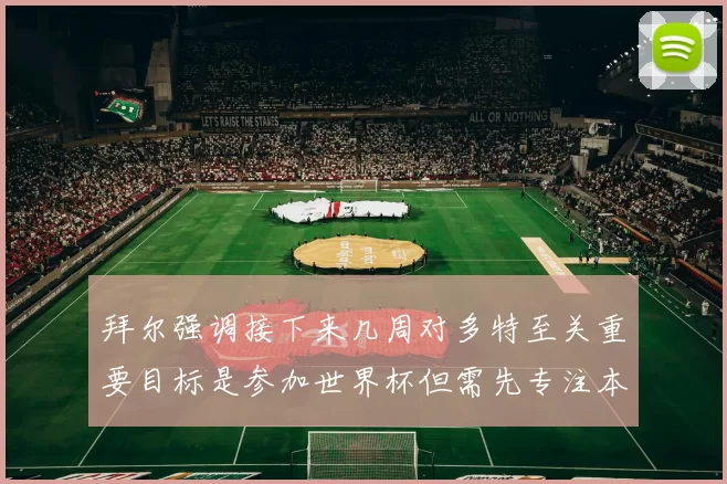拜尔强调接下来几周对多特至关重要目标是参加世界杯但需先专注本赛季表现