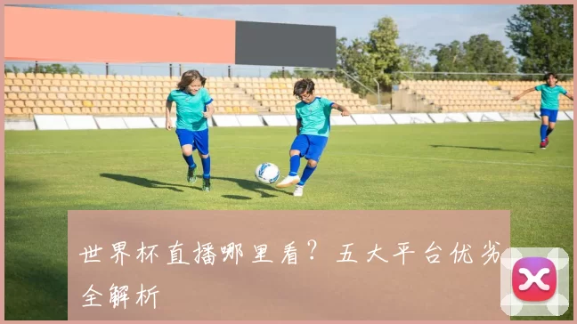 世界杯直播哪里看？五大平台优劣全解析