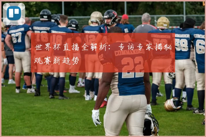 世界杯直播全解析：专访专家揭秘观赛新趋势