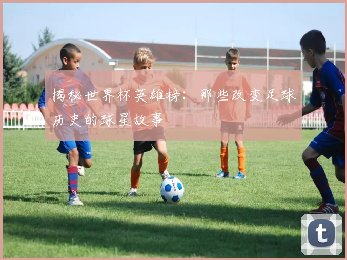 揭秘世界杯英雄榜:那些改变足球历史的球星故事