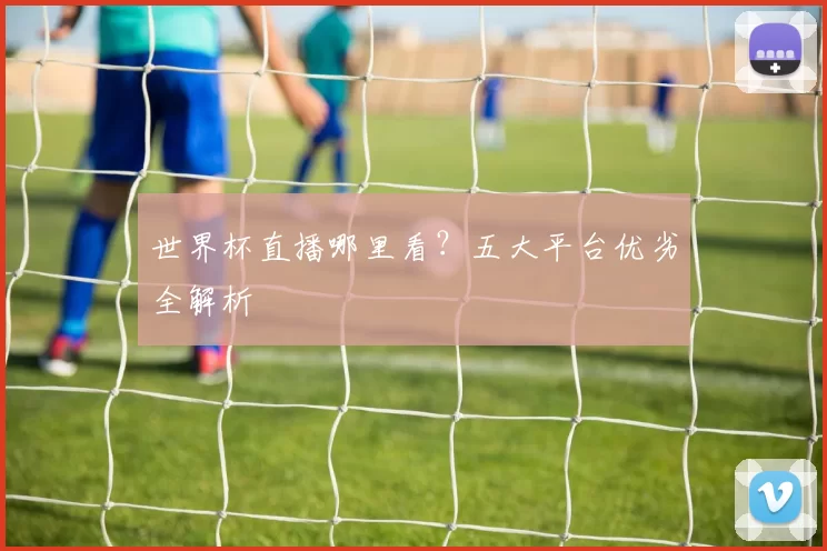 世界杯直播哪里看？五大平台优劣全解析