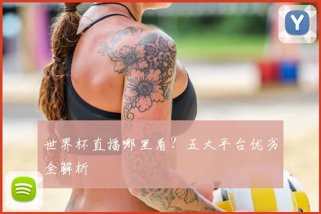 世界杯直播哪里看？五大平台优劣全解析