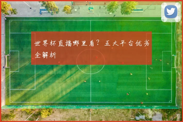 世界杯直播哪里看？五大平台优劣全解析