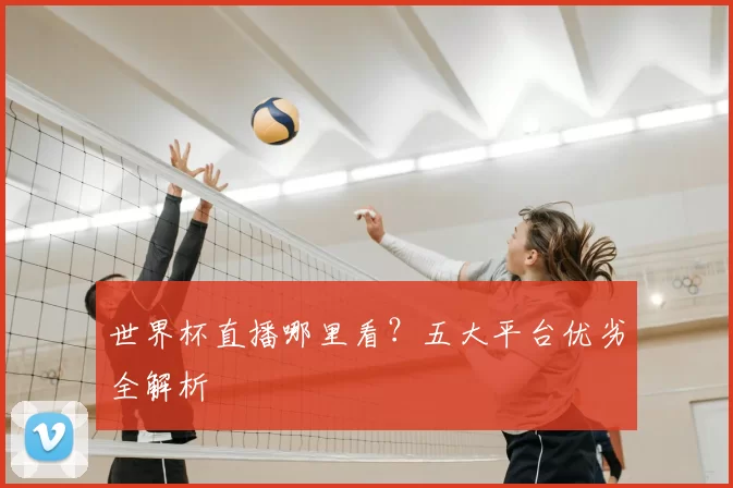 世界杯直播哪里看?五大平台优劣全解析