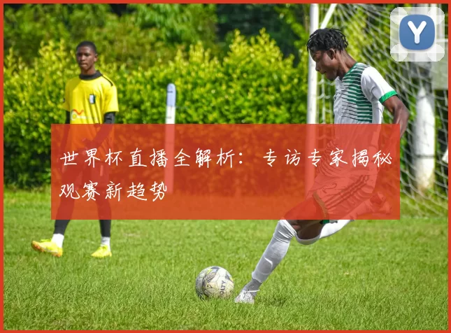 世界杯直播全解析:专访专家揭秘观赛新趋势