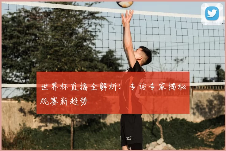 世界杯直播全解析：专访专家揭秘观赛新趋势