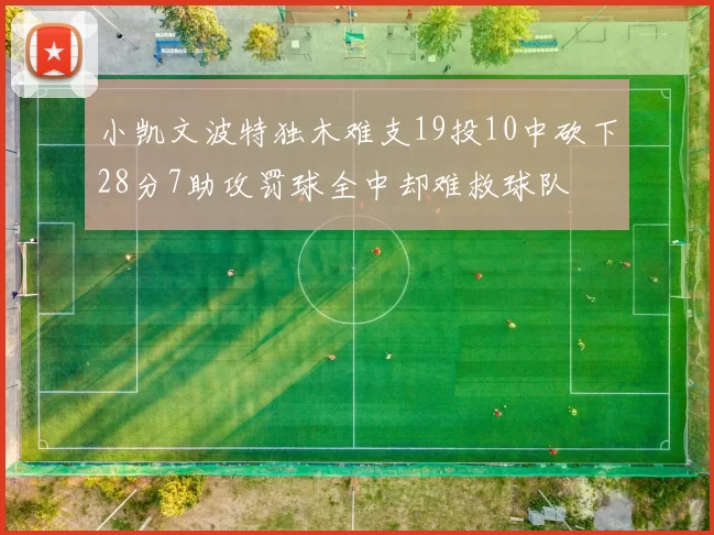 小凯文波特独木难支19投10中砍下28分7助攻罚球全中却难救球队