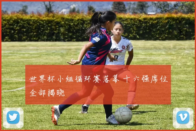 世界杯小组循环赛落幕 十六强席位全部揭晓