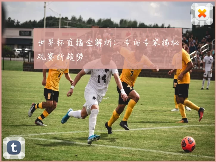 世界杯直播全解析：专访专家揭秘观赛新趋势