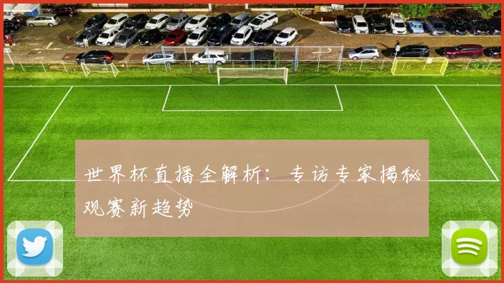 世界杯直播全解析：专访专家揭秘观赛新趋势
