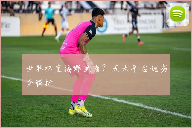 世界杯直播哪里看？五大平台优劣全解析