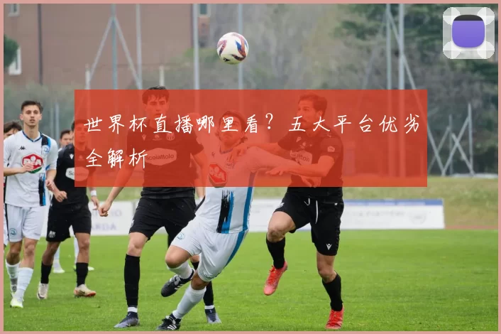 世界杯直播哪里看?五大平台优劣全解析